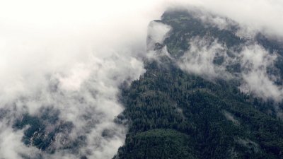森林小径阳光穿透